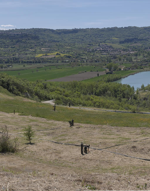 un campo verde con delle montagne sullo sfondo e un laghetto